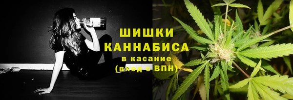 амф Абаза
