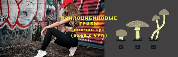 apvp Пестово
