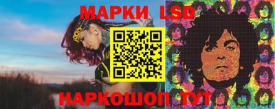 дживик Кимры