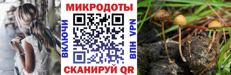 закладки  Новотроицк  Галлюциногенные грибы Magic Shrooms 