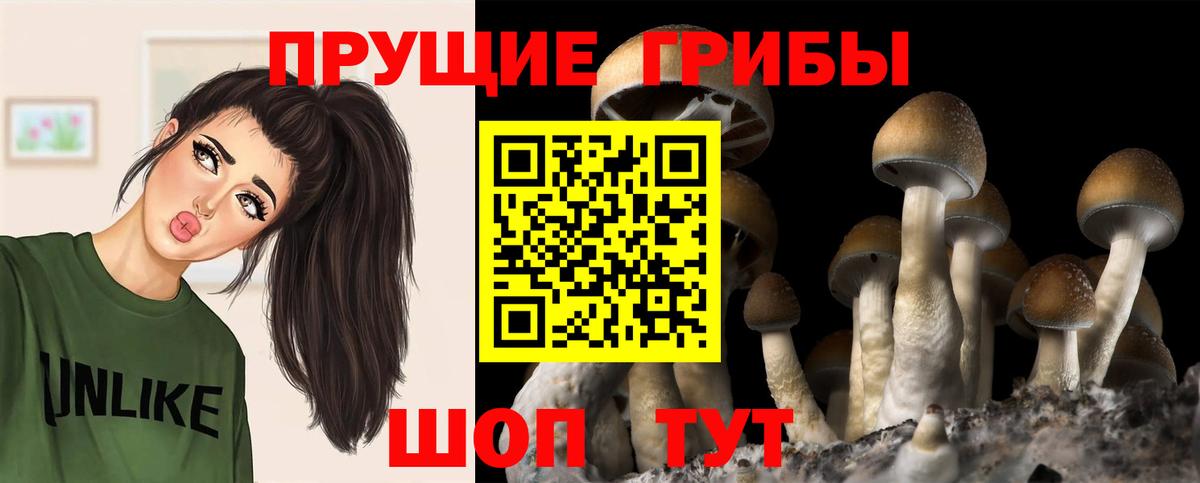 Новотроицк  Псилоцибиновые грибы прущие грибы  Вход с VPN  Галлюциногенные грибы Cubensis 