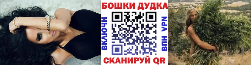 Конопля Bruce Banner  сайты даркнета Telegram  Новотроицк  где продают  